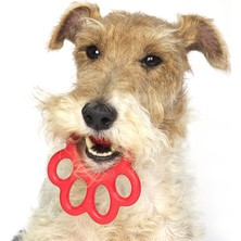 Bama Pet Orma Mini Köpek Oyuncağı Mavi