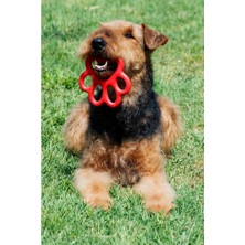Bama Pet Orma Köpek Oyuncağı Sarı