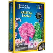 Natgeo Kristal Bitki Kiti
