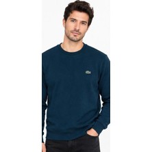Lacoste Bisiklet Yaka Regular Fit Petrol