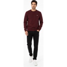 Lacoste Bisiklet Yaka Vişne Regular Fit
