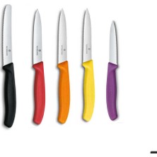 Victorinox Vtgr-Renkli 5'Lİ Soyma Bıça Set