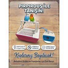 10 Tech Mühendislik 10TECH Pırpırduş – Bataryalı Kuş Banyosu & Mini Şelale