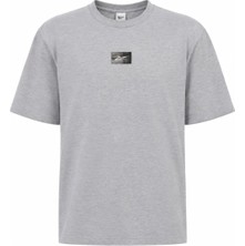 Reebok Kısa Kol T-Shirt Erkek Gri Tuche Tee