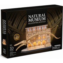 NW NessiWorld Natural Museum - Mavi Balina 3D Puzzle LED Işıklı