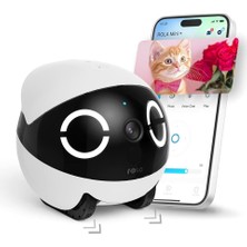 Enabot Ebo Rola Mini 2k Pet Kamera Robot, Mobil ve Şarj Edilebilir, 2 Yönlü Sesli Görüşme, Hareket Algılama