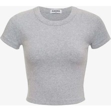American Rag Cie Campus Tee - Yumuşak Kollar, Şık ve Rahat Tasarım (95% Pamuk, 5% Spandeks)