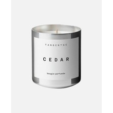 Tangent GC Cedar Parfümlü Gıda Kandeleyi Doğal Soja Wax Içinde Zedern Parfümü