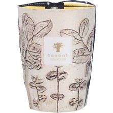 Baobab Collection Max 24 Folia Calanque Kokulu Mum, Okaliptüs Motifli Beyaz Seramik, Bergamot & Yeşil Çay Kokusu