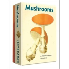 Abbeville Press Mushrooms, León Dufour’un Mantar Atlasından 16’lı Not Kartı Seti