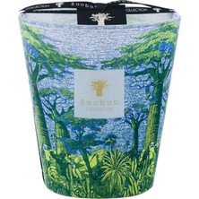 Baobab Collection Max 35 Kutsal Ağaç Yarani Kokulu Mum, Lavanta, Verbena ve Sedir Notalı