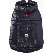 Moncler Poldo Dog Couture Mavi Köpek Montu