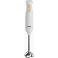 Bestron 600W Paslanmaz Çelik Lüks El Blenderi 2 Hız + Turbo