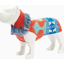 Alanui x Poldo Dog Couture Italyan Tasarımı, Yün Köpek Kazağı