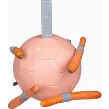 Waldhausen Havuç Topu At Oyuncağı 18 cm