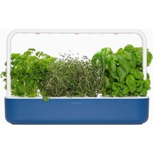 Click & Grow Smart Garden 9 Navy Blue Akıllı Bitki Bahçesi