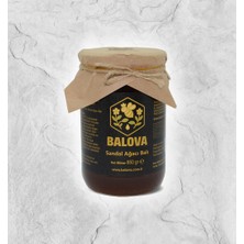 Balova Sandal Ağacı Balı