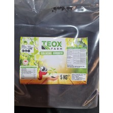 Teoxfarm Teox Farm Katı Solucan Gübresi 5 kg Torba