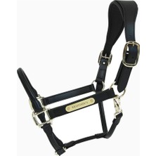 Kentucky Horsewear Anatomik Suni Deri At Halteri