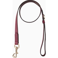 Gucci Deri Small/medium Italyan Tasarımı, Köpek Tasması ve Gezdirme Kayışı