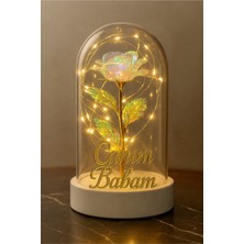 Alshop Babalar Günü Canım Babam Yazılı LED Işıklı Solmayan Güllü Gece Lambası Fanus