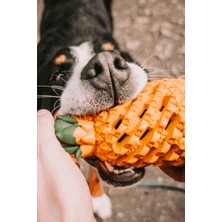 Sprenger Ananas Köpek Oyuncağı Doğal Kauçuk Ödül Hazneli