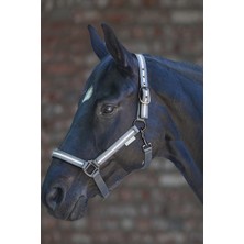 Waldhausen Reflex Stripe Reflektif At Halteri