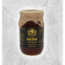 Balova Sandal Ağacı Balı