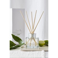 The White Company Lime & Bay Çubuklu Oda Kokusu 150 ml