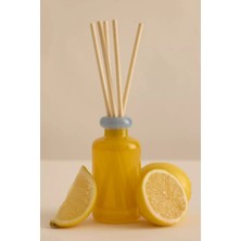Anthropologie Paddywax 5'li Kokulu Çubuklu Oda Kokusu Difüzör 94 ml