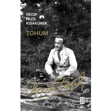 Aesco Tohum