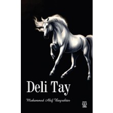 Luna Yayınları Deli Tay