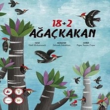 Erdem Çocuk 18 + 2 Ağaçkakan