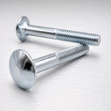 Gees Global 1/4 x 40 Ölçü Kasa Civata 100 Adet Vida Seti