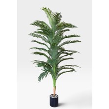 Yapay Çiçekçiniz 150 cm 36 Yapraklı Yapay Areka Ağacı – Taş Detaylı Siyah Saksılı