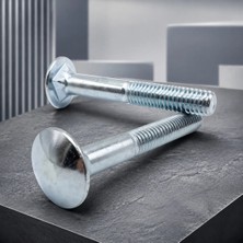 Aslanoğlu Store 1/4 x 100 mm Kasa Bağlantı Civatası 20'li Paket