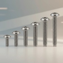 Aslanoğlu Store M4X10 Rysb Tip Kulp Vidası 100 Adet Pratik Vida Paketi
