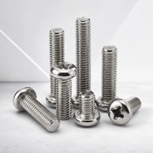 Aslanoğlu Store M6X30 Ölçülü Ysb Başlı Vida Seti 100 Parça