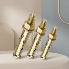 Aslanoğlu Store Gömlek Tipi Çelik Dübel 10X70 mm 20'li Paket