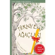Mandolin Yayınları Alfa Kalem+Türkiye’nin Ağaçları (Gülnar Önay)Çocuk Hikaye Inkılap Kitap Set