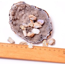 Taş Sandığı Ham Opal Taşı Kütle Küçük Boy - Etiyopya Opali
