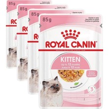 1001 Kitten Jelly Kedi Yaş Mama 85 gr (4 Paketi)