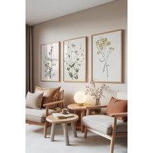 1001 Ahşap Çerçeveli 3’lü Tablo Seti, Botanik Çiçek Çizimi – Soft Renkler, Salon Set No: 30124