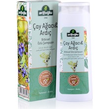 1001 Çay Ağacı ve Ardıç Özlü Bitkisel Şampuan 400ML