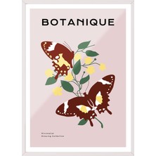 1001 Beyaz Çerçeveli Tablo Kelebekli Çiçek Dalları – Botanik Oturma Odası Dekoru Poster 100834, 3