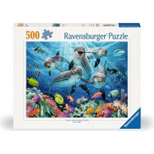 1001 500P Puzzle Yunuslar, Yapboz