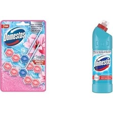 1001 Wc Blok 5'li Güç Tuvalet Bloğu Manolya Ferahlığı Maksimum Hijyen 100 G ve Domestos Yoğun Kıv