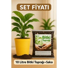 Plant Home Power Mix Saksı Değişim Seti – 10 Litre Böcek Sinek Yapmayan Organik Çiçek Toprağı + 9,5 Litre Dekoratif Saksı