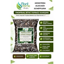 Plant Home Power Mix Tropikal Bitki Toprağı Karışımı Monstera – Alocasia – Schefflera Için Sinek Yapmayan Formül 5 Litre