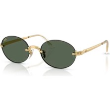 Ray-Ban Rayban 3929 001/71 54 Kadın Güneş Gözlüğü